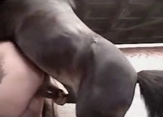 Animal porn sex scene