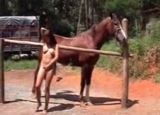 Girl with a brown horse