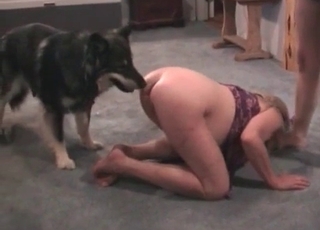 Huge cock of a sexy doggy