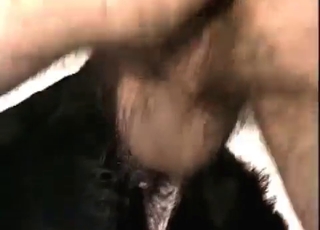 Dude nailing a black dog