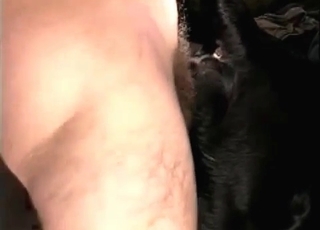 Dude nailing a black dog