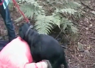 Outdoor fuck with a doggy