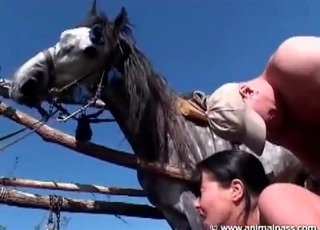 Guy jerks off to a girl with horse