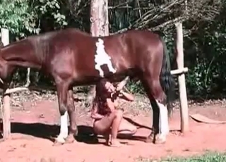 Slender girl fucked by a horse