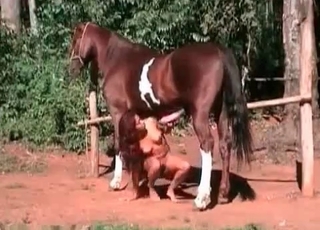 Slender girl fucked by a horse
