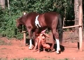 Slender girl fucked by a horse