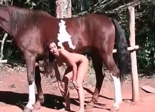 Slender girl fucked by a horse