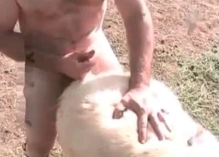 Anal fingering for a stallion