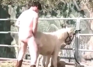 Anal fingering for a stallion