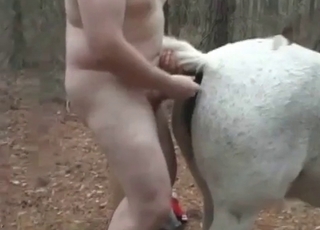 Fat zoophile and hot horse