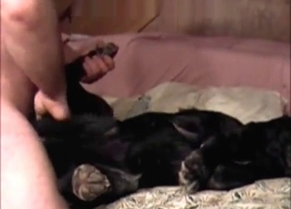 Sleeping dog fucked by a zoophile