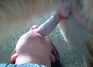 Nice blowjob action in zoo porn