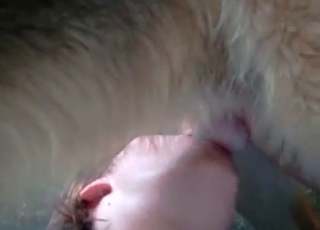 Nice blowjob action in zoo porn