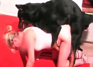 Two dogs and just one zoophile