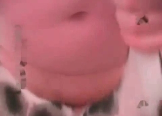 Small Dalmatian fucked in the ass