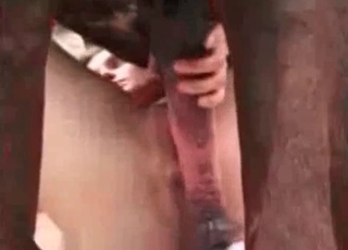 Perverted animal porn at the farm