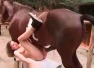 Perverted animal porn at the farm