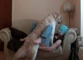 Puppy pleasing its owner