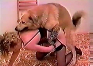 Kinky lady fucked by her dog