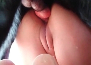 Puppy with a filthy bitch