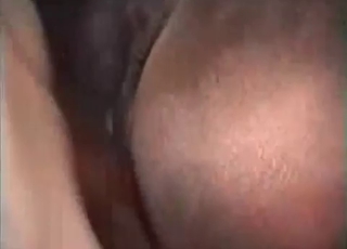 Mustang fucked by a dude