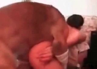 Hot zoo sex with a nice doggy