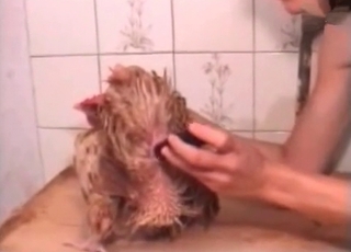 Cock loves this huge sex toy