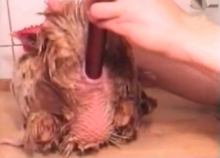 Cock loves this huge sex toy