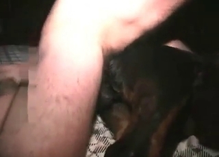 Dog nailed with a hard dick