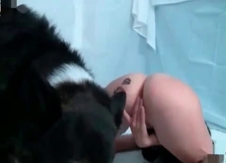 Mutt pounding two cuties