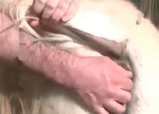 Filthy as fuck farm animality