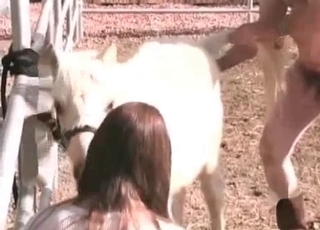 Filthy as fuck farm animality