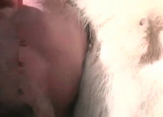 Filthy as fuck farm animality