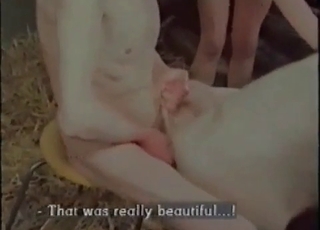 Filthy pig and a brunette girl