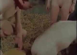 Filthy pig and a brunette girl