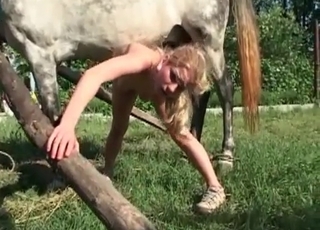 Beauty and a crazy farm beast
