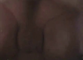 Very fat slut and hot dog
