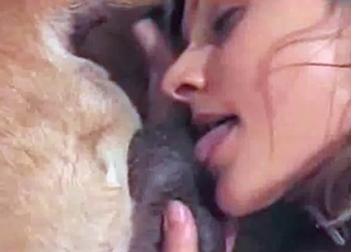 Licking out dogs big dick
