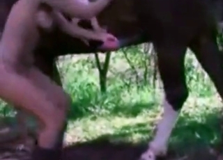 Mustang pounding a busty babe