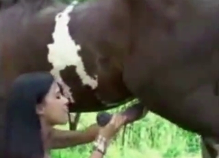 Mustang pounding a busty babe