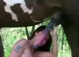 Mustang pounding a busty babe