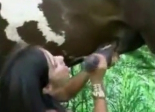 Mustang pounding a busty babe
