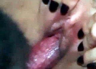 Small cock of a horny doggy