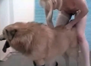 Chick playing with her mongrel