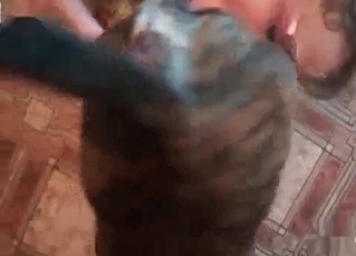 Chicks gets pounded by cur