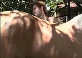 Beauty loves her trained horse