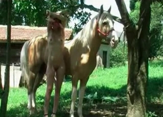 Beauty loves her trained horse