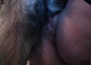 Secretary enjoys her doggy