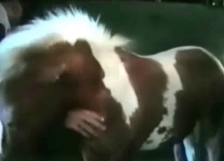Pony pipe in her tight twat