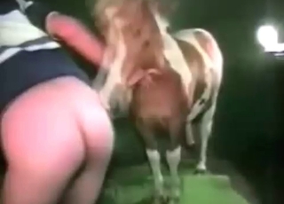 Pony pipe in her tight twat